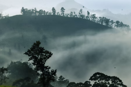 Packing Essentials for Sri Lanka