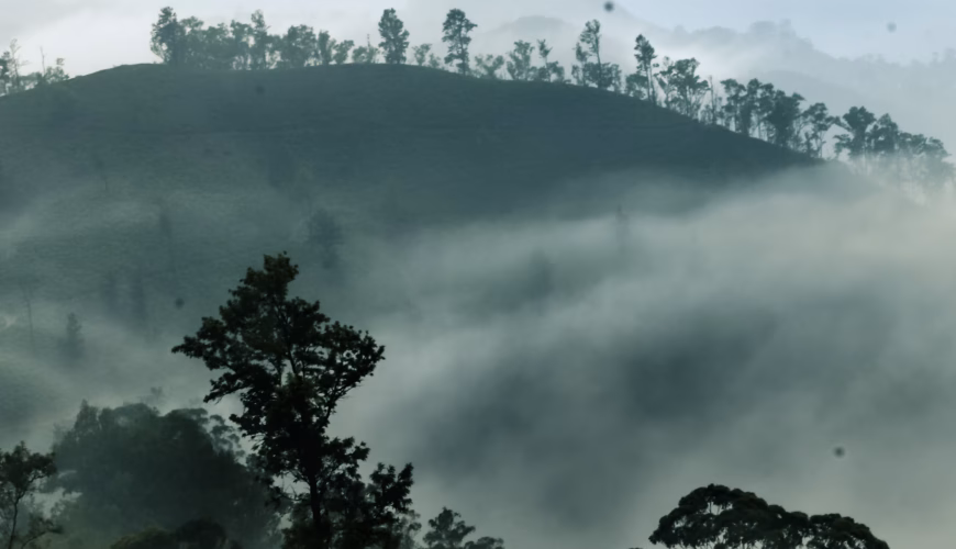 Packing Essentials for Sri Lanka