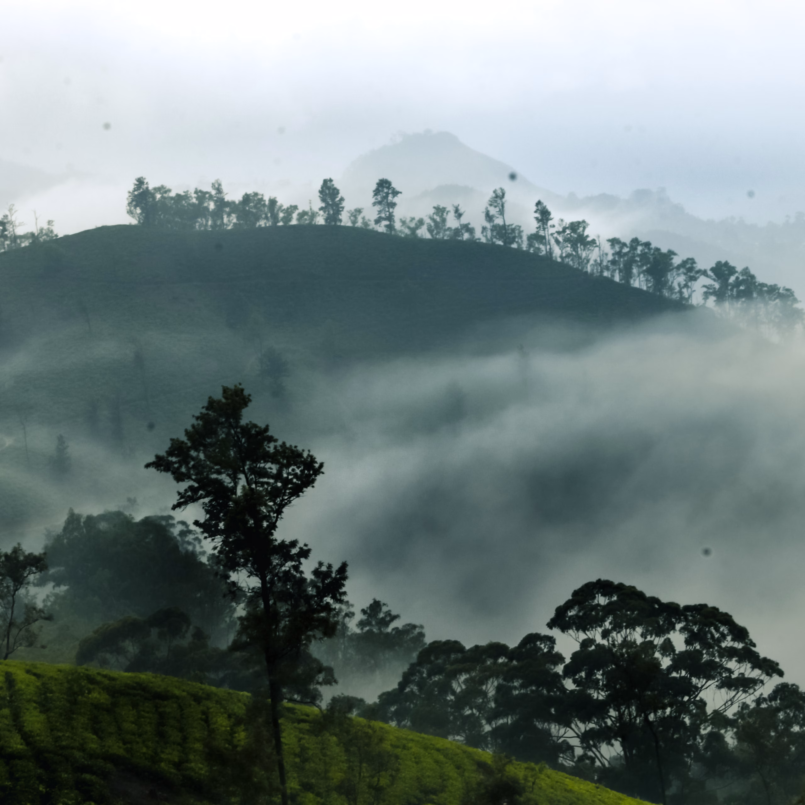 Packing Essentials for Sri Lanka