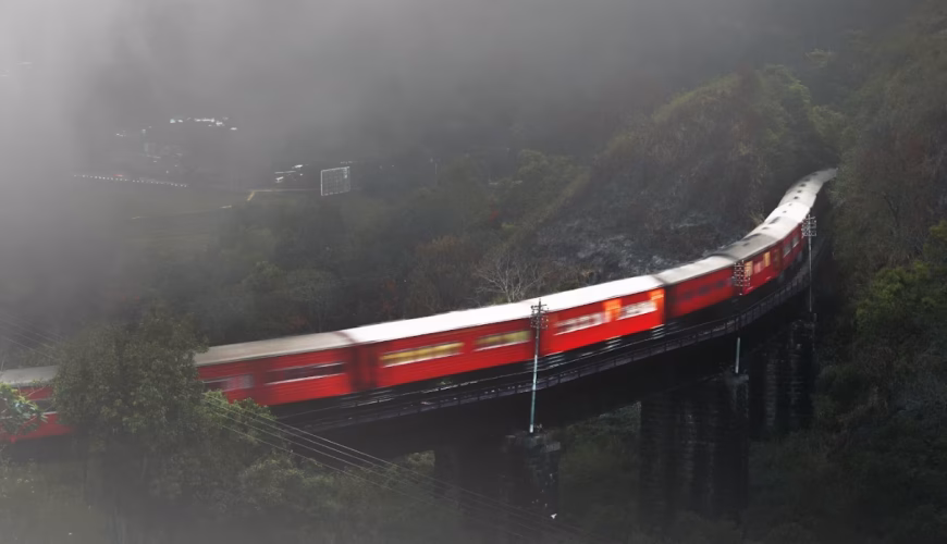 Currency & Payment Information