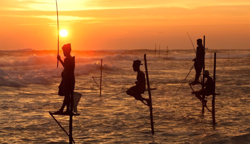 Sunset Moments by the Indian Ocean