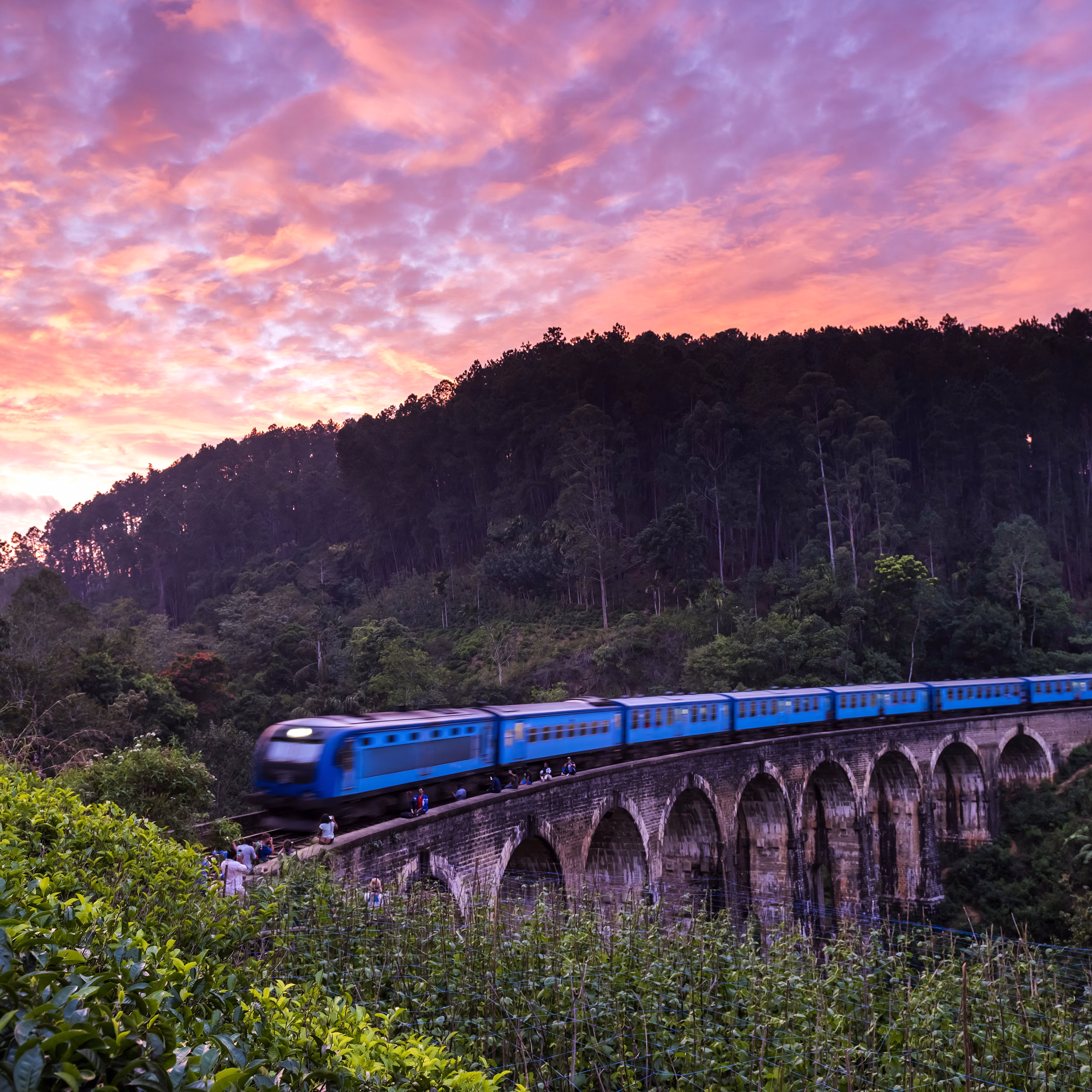 6-Night Sri Lanka Tea Tour Itinerary